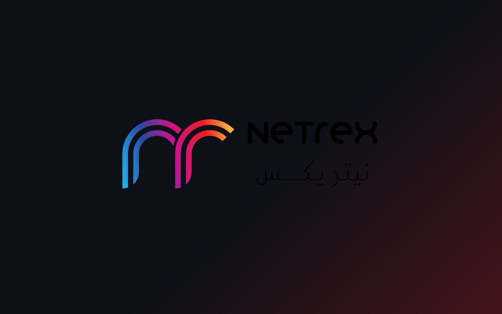 NETREX ERP: Executive Dashboard